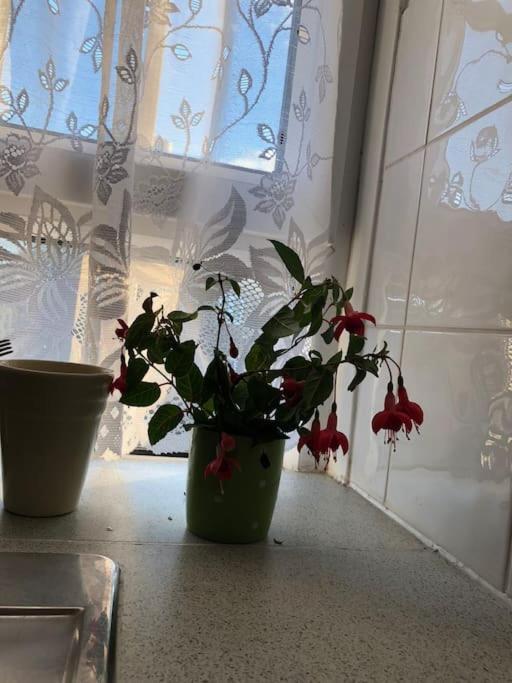 Carpe Diem Rooms Flat Near Zone 1 Лондон Екстериор снимка